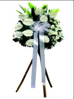 Bill Kay, Naperville, Illinois Death - In Loving Memory